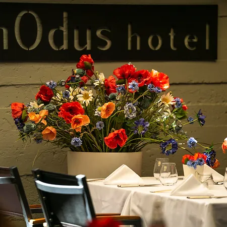 Hotel Modus Warna